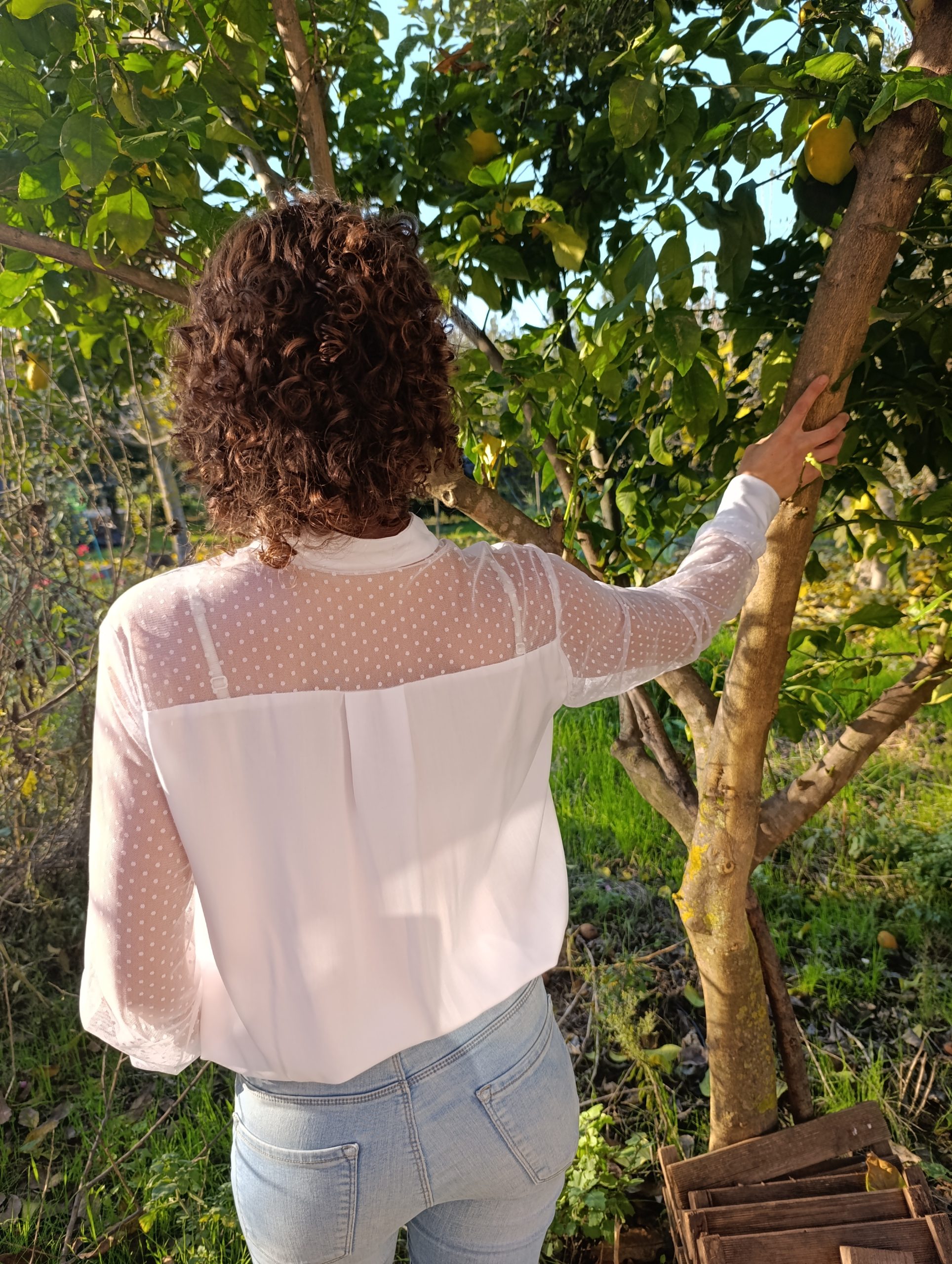 Camisa Cuervo Blanco - Imagen 4