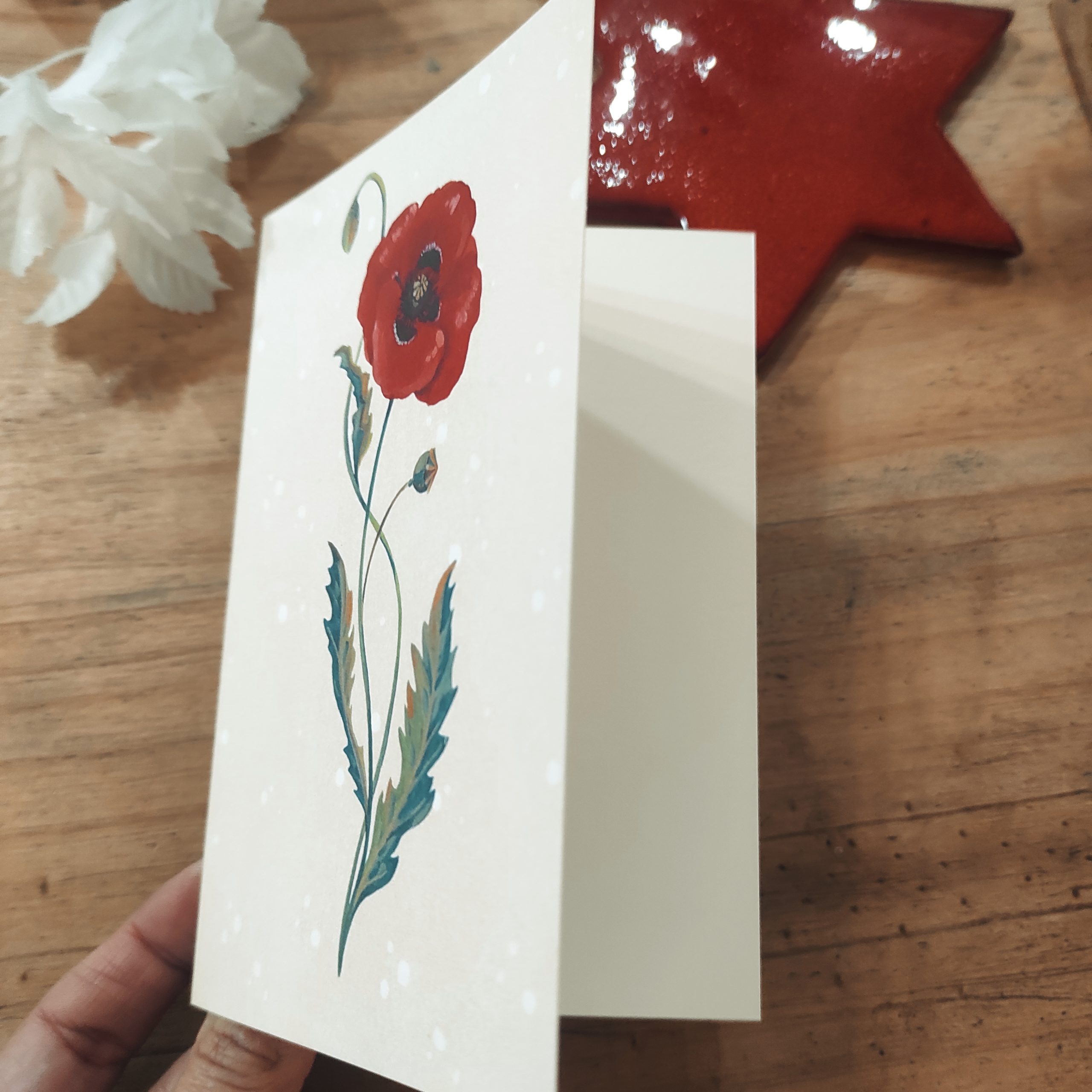 Amapola Snow - Imagen 4