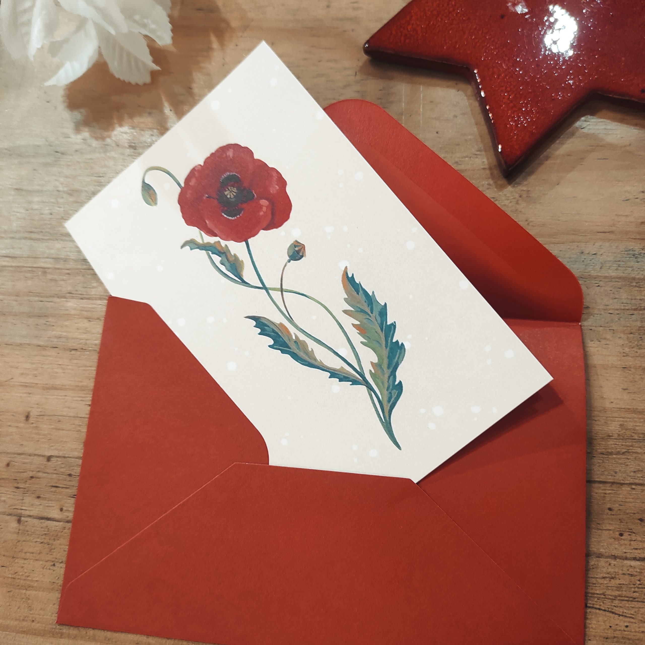 Amapola Snow - Imagen 3