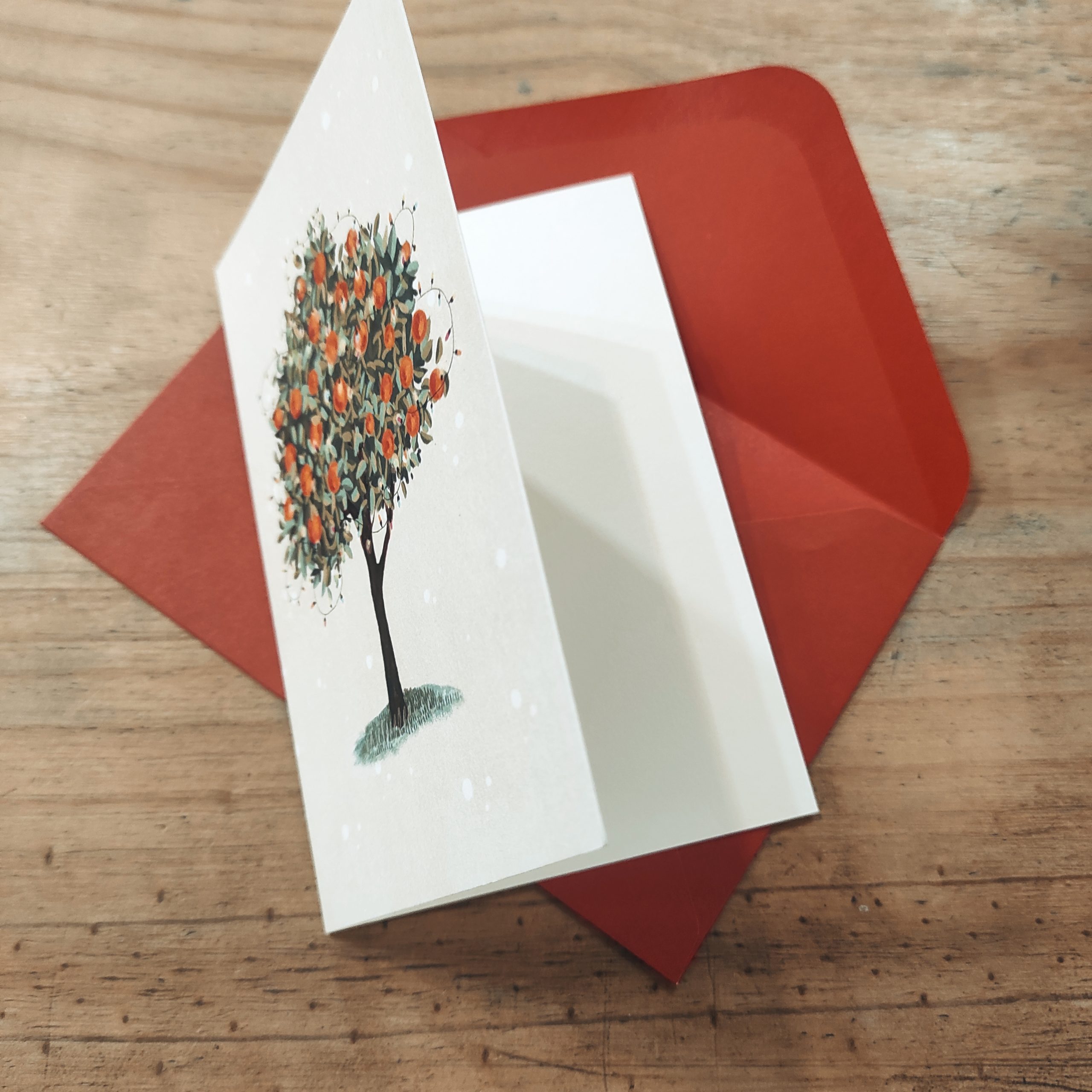 Naranjo de Navidad - Imagen 3