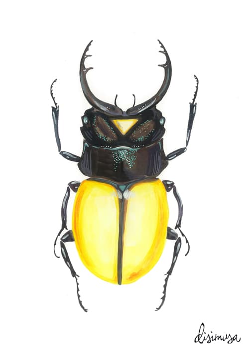 Ilustración Escarabajo Naranja Ilustración de la serie , ESCARABAJOS Impresión digital en papel crema de 200 g/m2 Tamaño A4.  